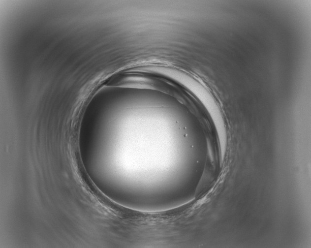 X0000061110193200511210943