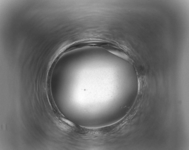 X0000061110195200511210943
