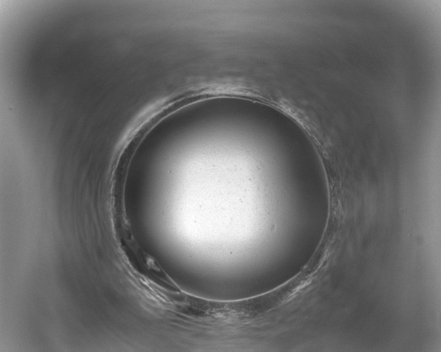 X0000061110199200511210943
