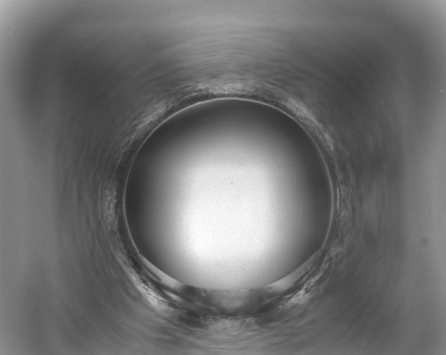 X0000061110201200511210943
