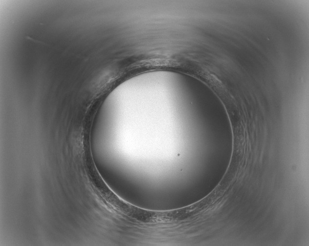 X0000061110207200511210943