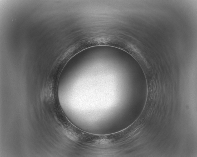 X0000061110212200511210943