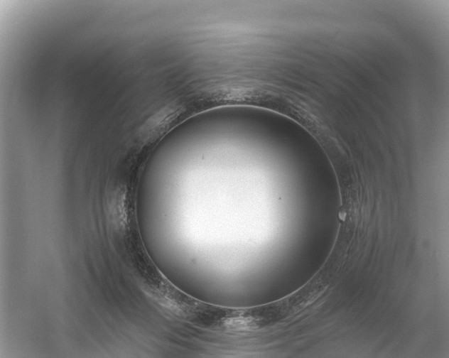 X0000061110216200511210943