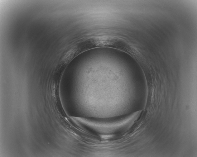 X0000061110219200511210942