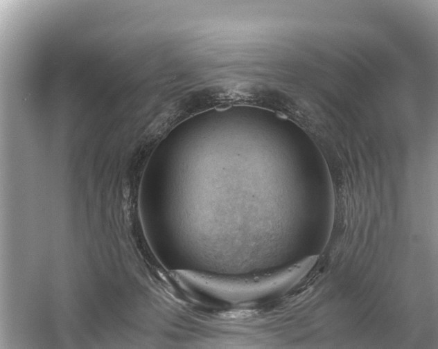 X0000061110223200511210942
