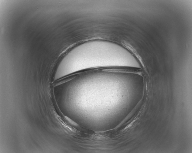 X0000061110249200511210941