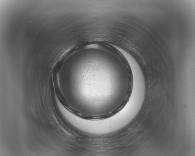 X0000061110251200511210941