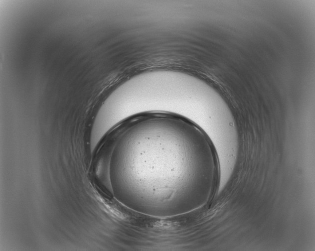 X0000061110261200511210942