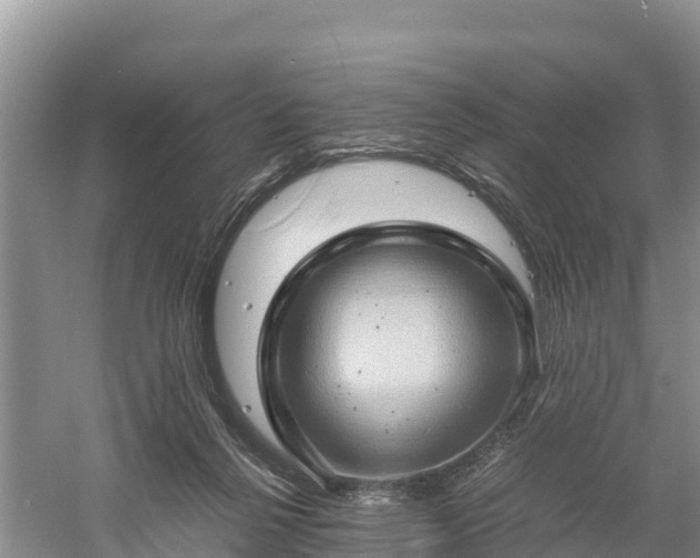 X0000061110264200511210942
