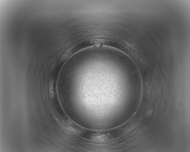 X0000061110267200511210942