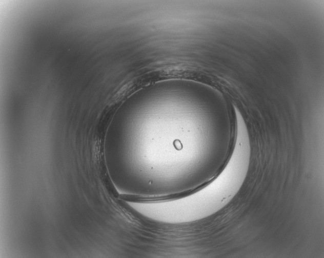X0000061110278200511210942