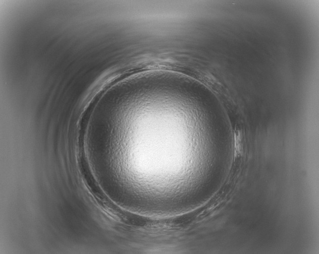 X0000061110291200511210941