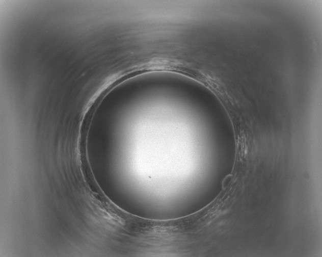 X0000061110292200511210941