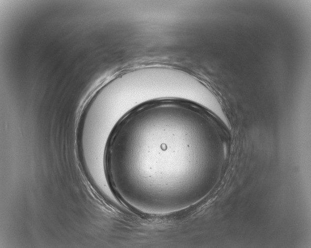 X0000061110293200511210941