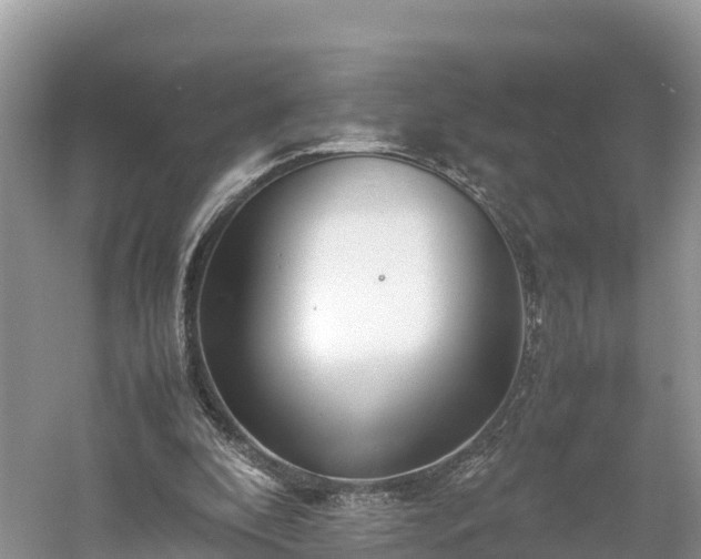 X0000061110296200511210941