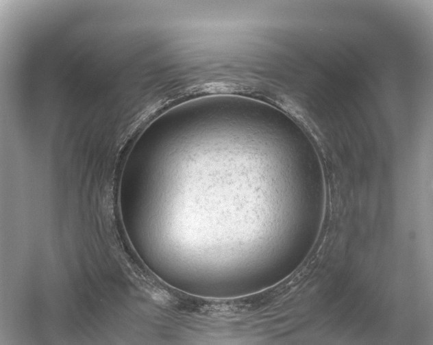 X0000061110297200511210941