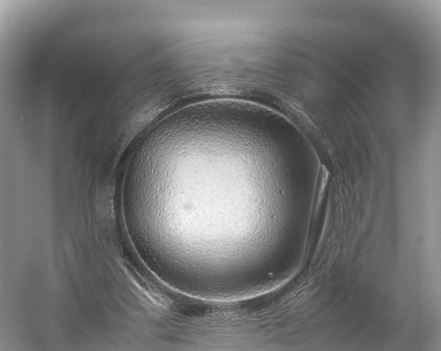 X0000061110299200511210941