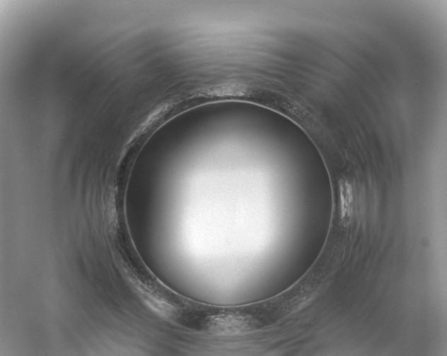X0000061110300200511210941