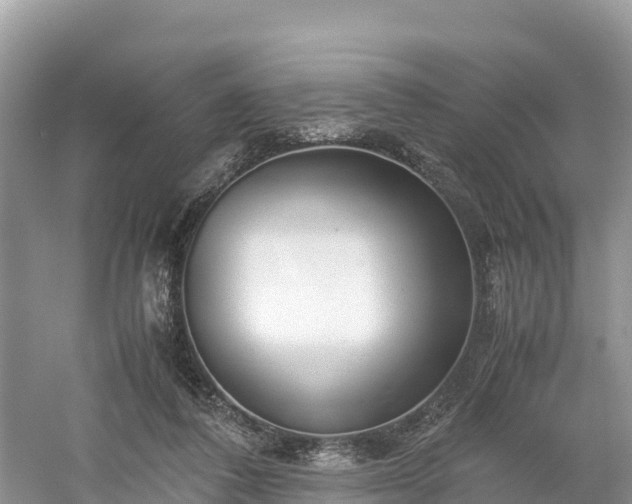 X0000061110308200511210941