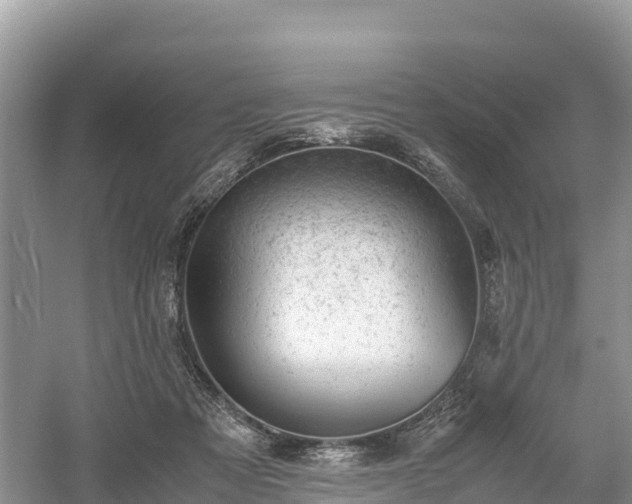 X0000061110313200511210941