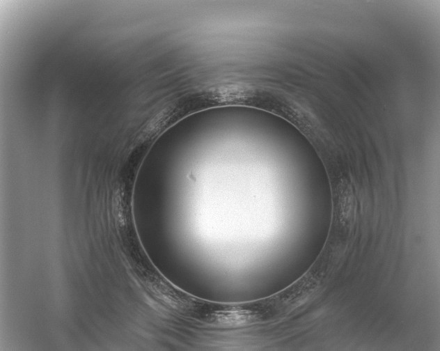 X0000061110316200511210941