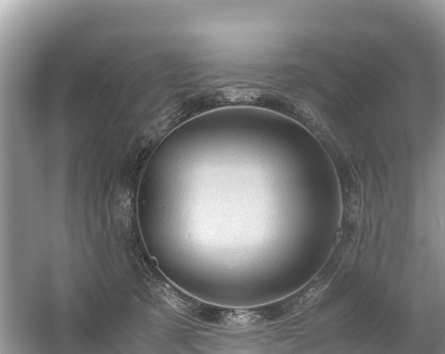 X0000061110321200511210941
