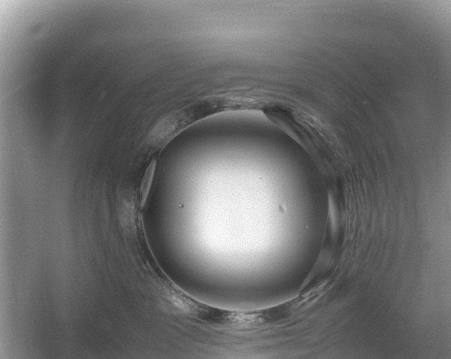 X0000061110333200511210940