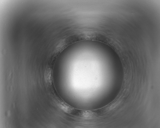 X0000061110336200511210940