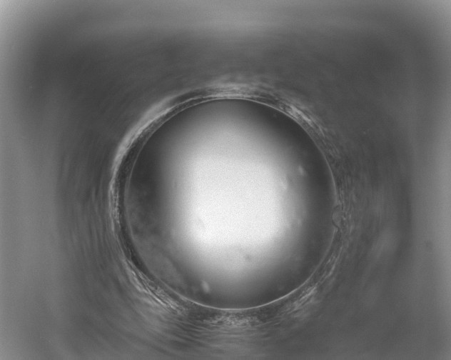 X0000061110343200511210940