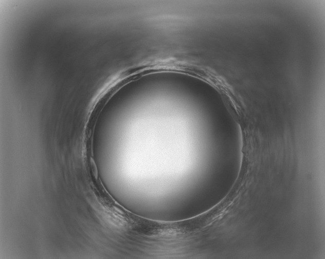 X0000061110344200511210940