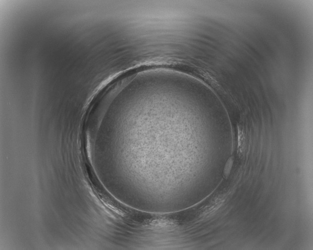 X0000061110348200511210940