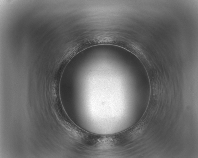 X0000061110362200511210940