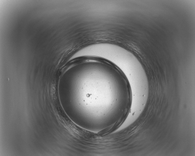 X0000061110365200511210940