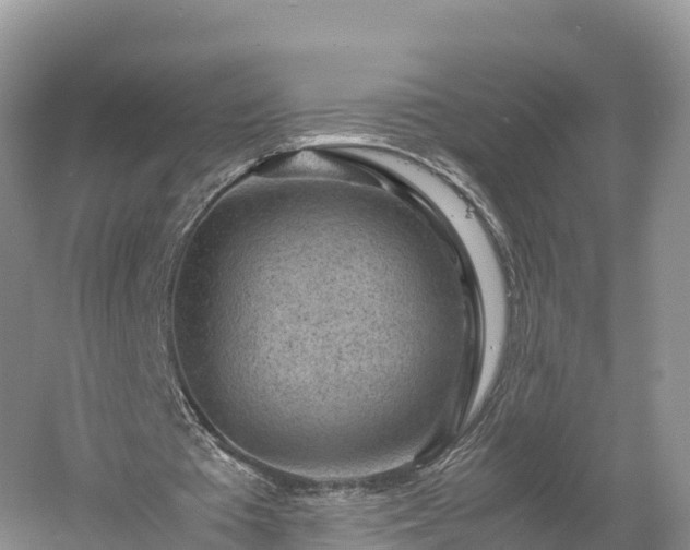 X0000061110385200511210940
