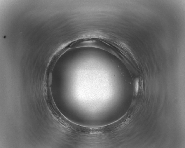 X0000061110388200511210940