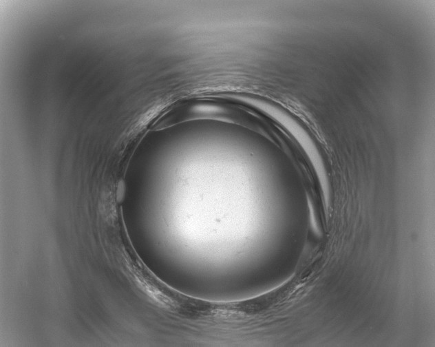 X0000061110393200511210939