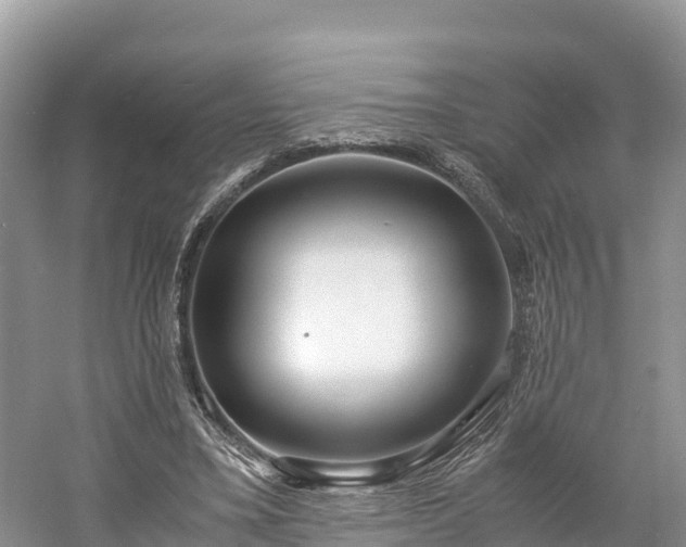 X0000061110395200511210939