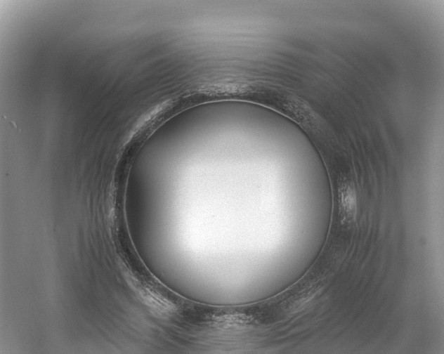 X0000061110396200511210939