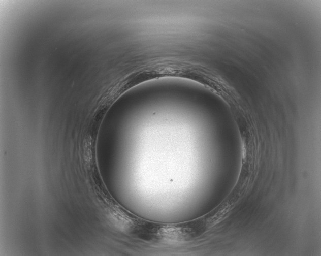 X0000061110413200511210939