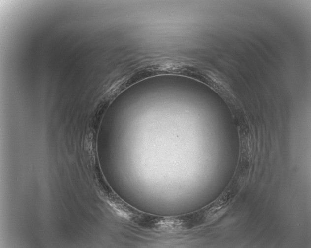 X0000061110415200511210939