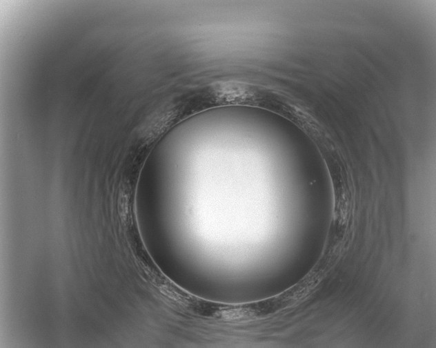 X0000061110417200511210939