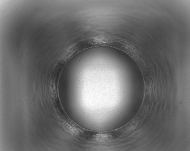 X0000061110418200511210939
