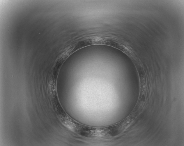 X0000061110419200511210939