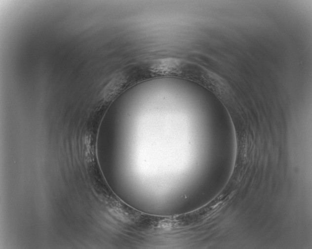 X0000061110420200511210939