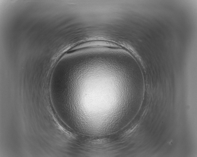 X0000061110433200511210938