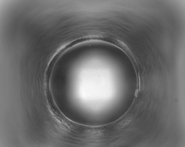 X0000061110435200511210938