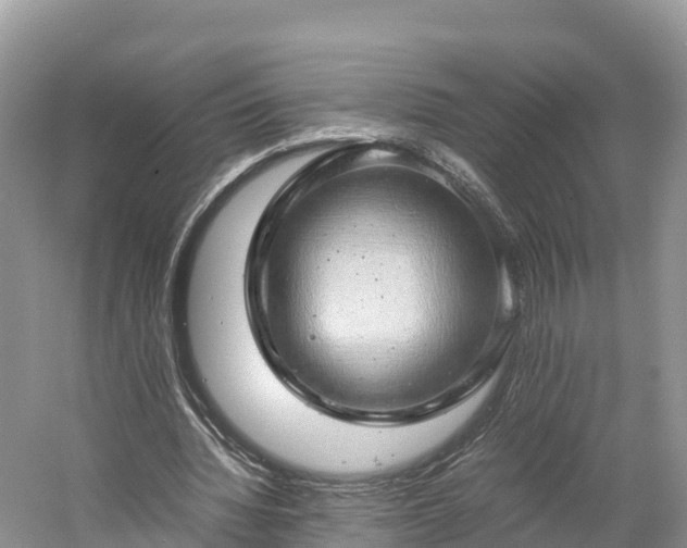 X0000061110436200511210938