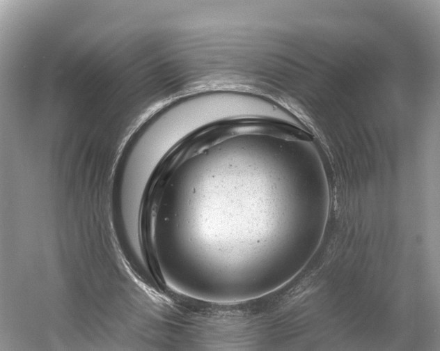 X0000061110438200511210938