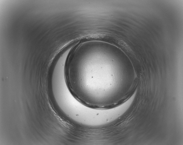 X0000061110444200511210938