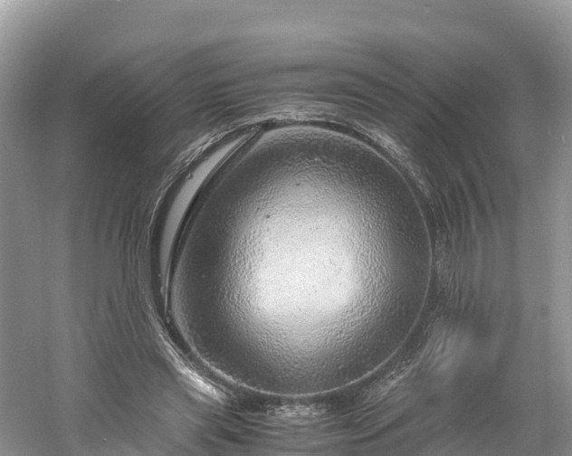 X0000061110445200511210938